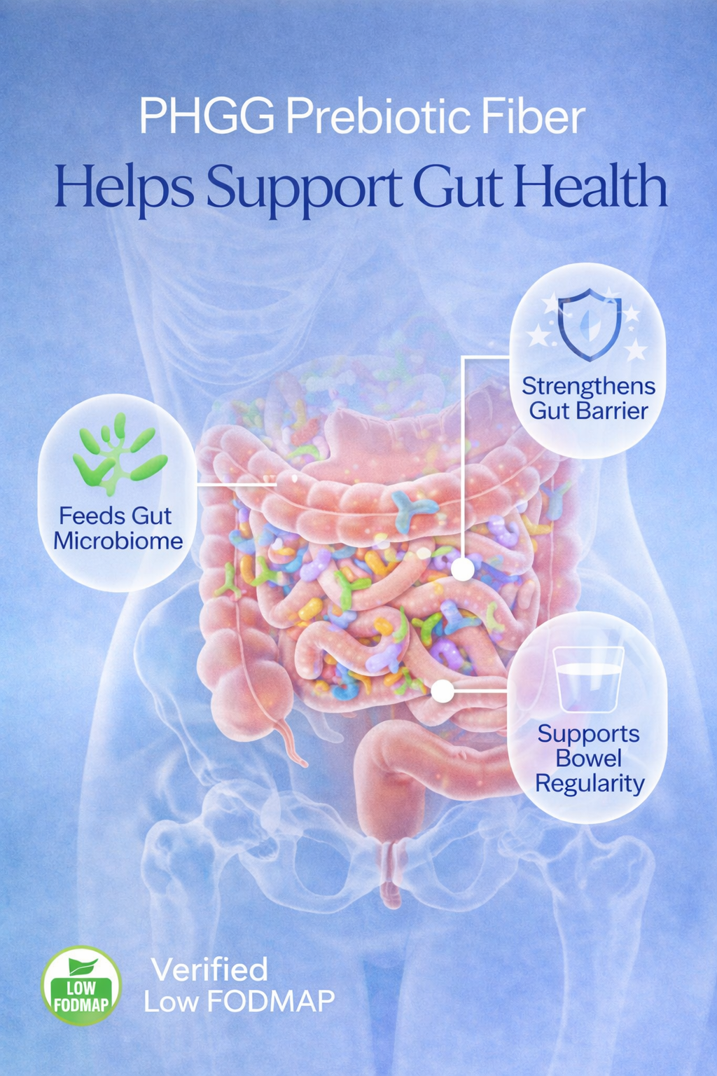 PHGG prebiotic fiber supports gut health infographic